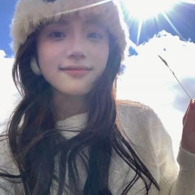 虎鲨在行动